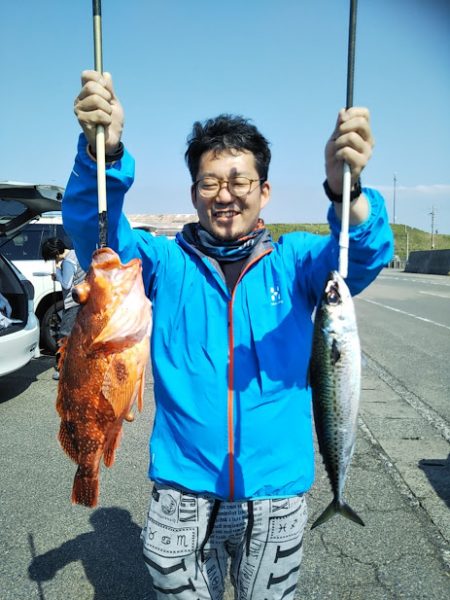 ジギング釣り果